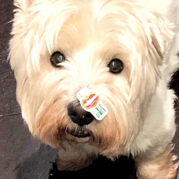 Meet your Posher, Kelly - Picture 1 of 1